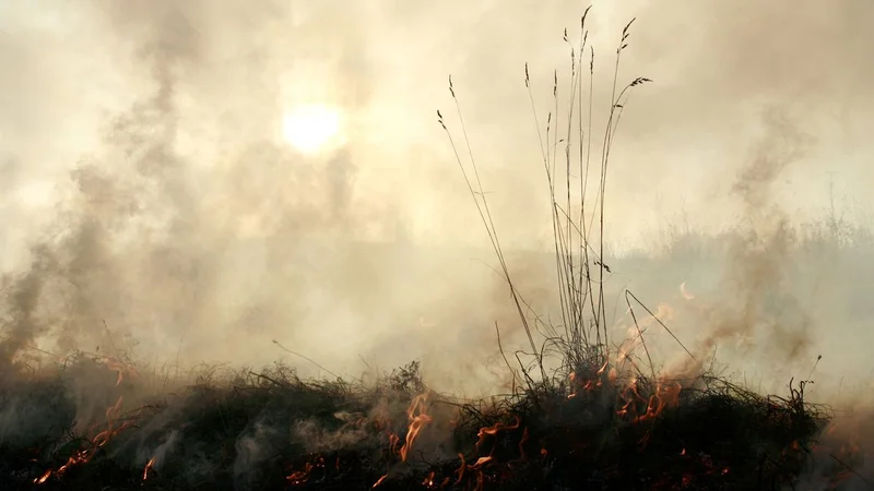 Super El Niño may push an already stressed climate ecosystem across a critical threshold, climate change researcher says