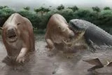 Bite Marks Reveal a 23-Foot Crocodilian May Have Dominated South America&rsquo;s Wetlands 10 Million Years Ago