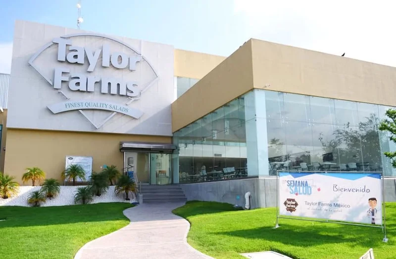 Taylor Farms recalls its Mexico-sourced jalapeños, cuts ties with Sinaloa supplier after salmonella scare