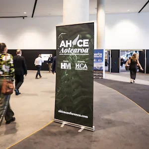 Hotel industry renews push for 2.5% accommodation levy, short-term accommodation register