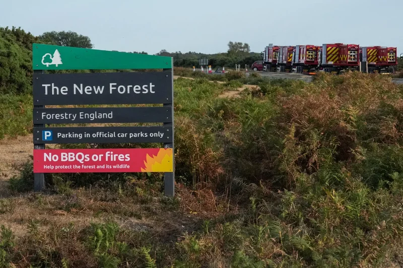 Wildfires prompt emergency alert as blaze in New Forest enters seventh day