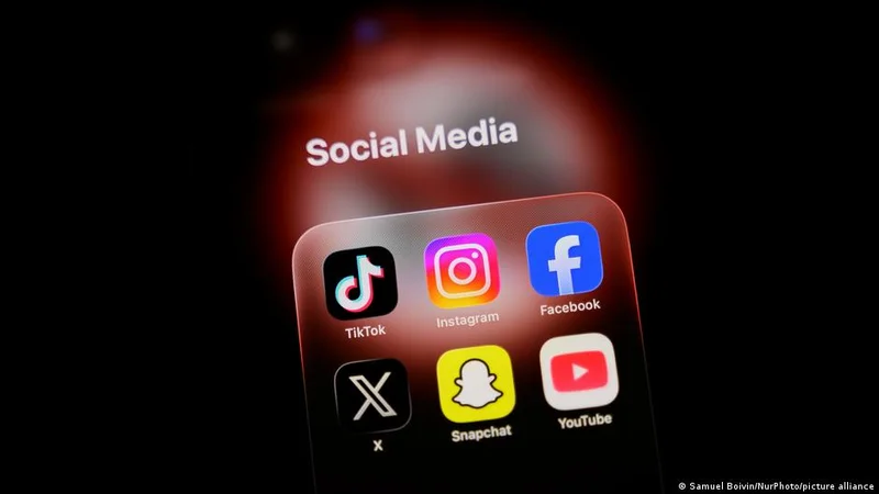 France: Top court blocks social media ban for children