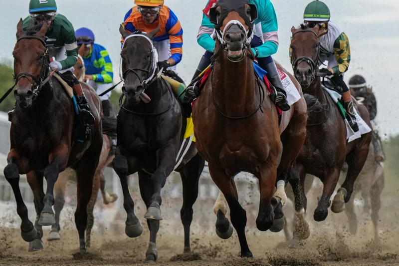 Preakness date for next year to be revealed, setting the 2027 Triple Crown schedule