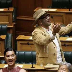 How Te Pāti Māori’s electorate vote gambit could bring down the Māori seats – Liam Hehir