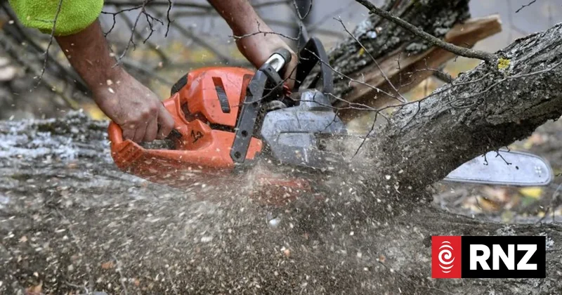 Don't underestimate machinery, coroner says, after arborist caught on stump grinder
