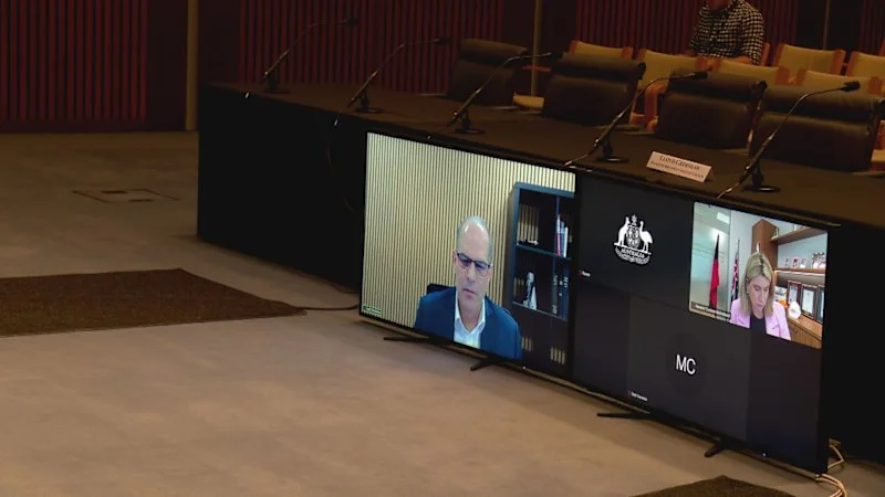 Australian dual citizen facing foreign interference charges