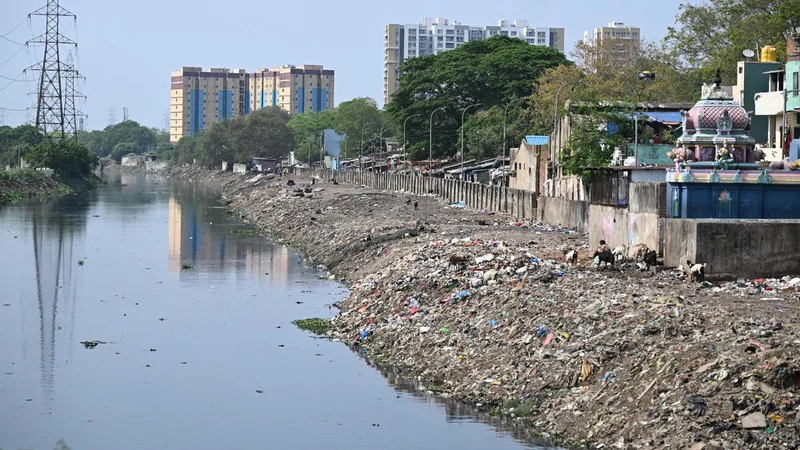 Tamil Nadu Budget 2026 promises fresh push for Cooum, Adyar rivers restoration in Chennai