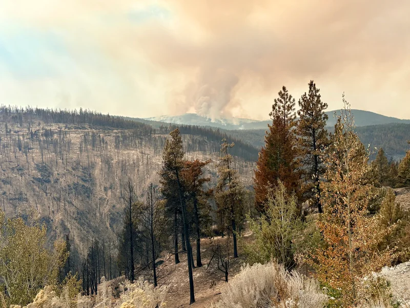 More Summerland residents allowed home as Bald Range fire grows to 24,000 hectares