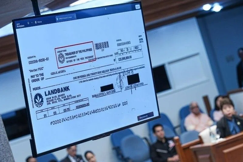 Person authorizing OVP, DepEd confidential funds spending sought