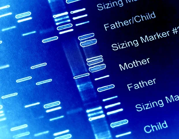 Penn State team lays groundwork to 3D print spheroids for regenerating bone tissue