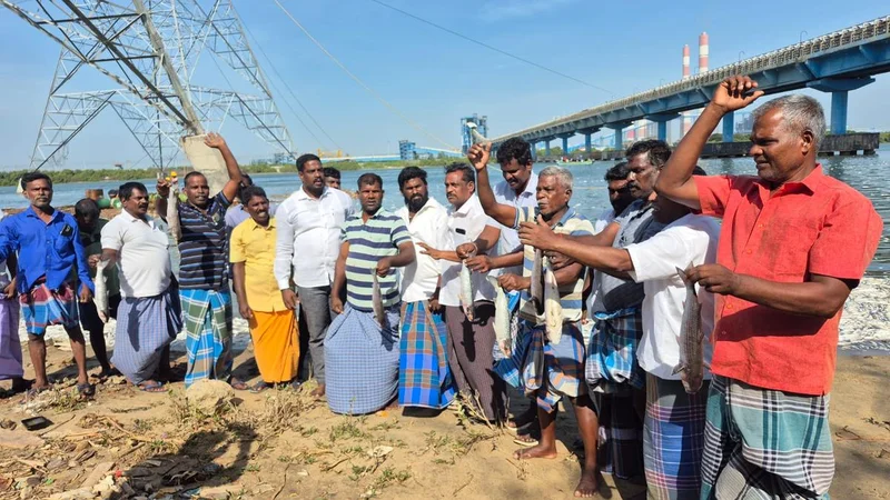 Ennore fisherfolk protest over mass fish kill in Kosasthalaiyar river