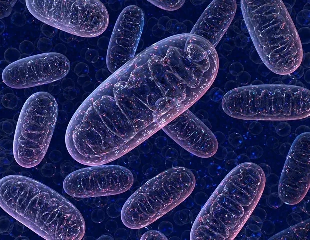 Newly discovered protein pathway limits spinal cord injury damage