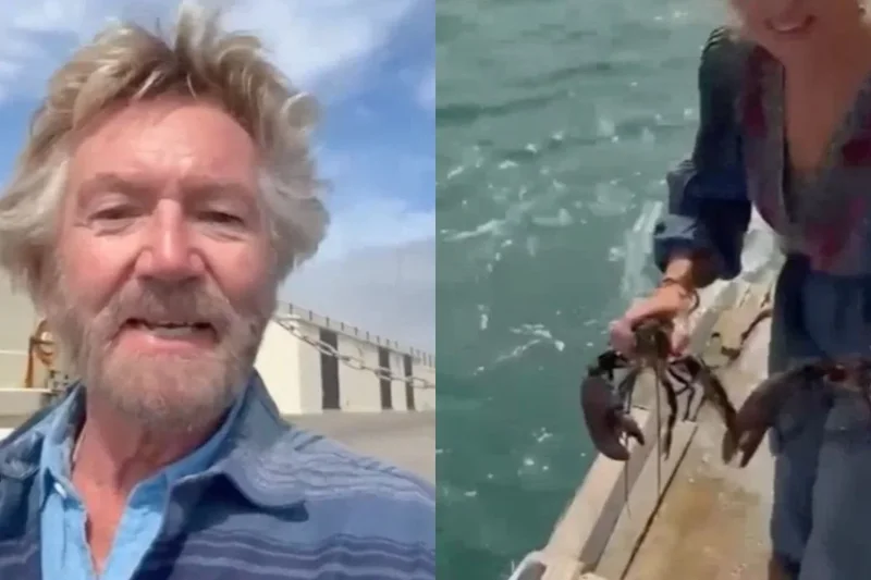 Noel Edmonds faces backlash after releasing tank lobsters into sea