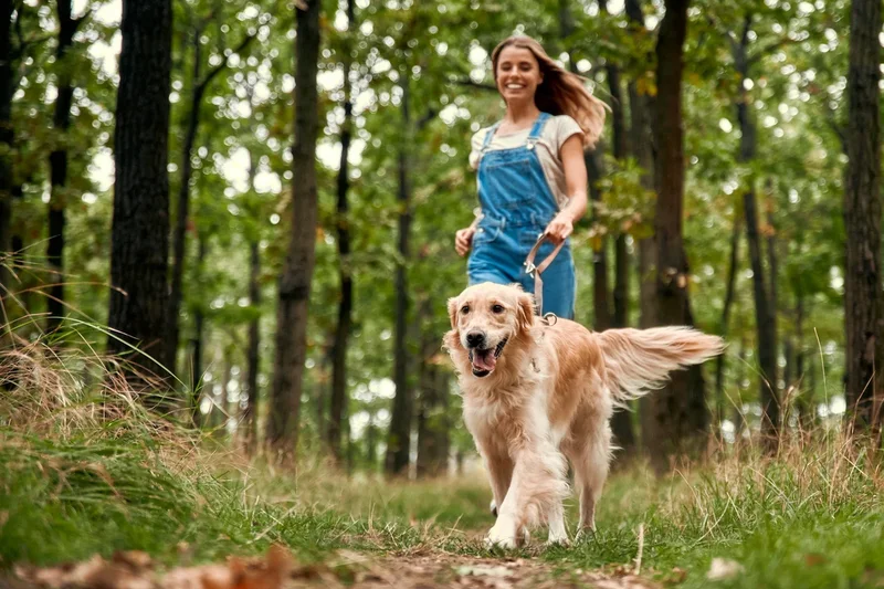 Using pet-talk on your dogs or cats may have benefits you didn’t expect