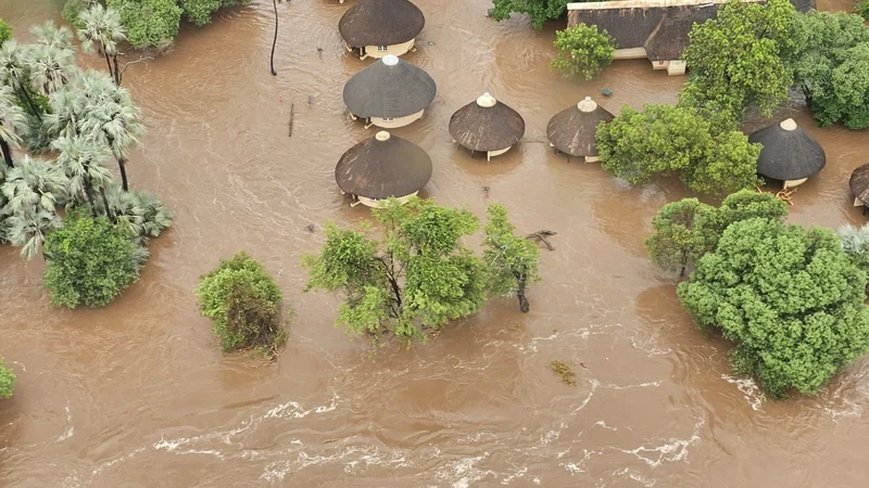 RESILIENT RECOVERY: Kruger National Park prepares to ‘build back better’ after R1bn flood damage