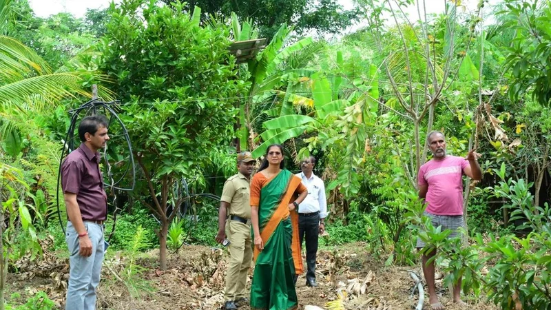 Mandya farmer turns 2.5 acres into a thriving natural farm