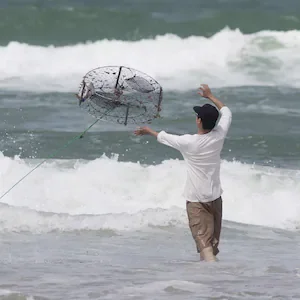 Bream Bay mātaitai reserve submission deadline extended after overcrowded meeting
