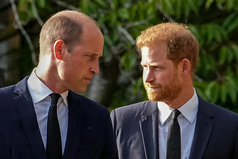 A question looms over Harry’s return to the UK. Can he rebuild his relationship with Prince William?