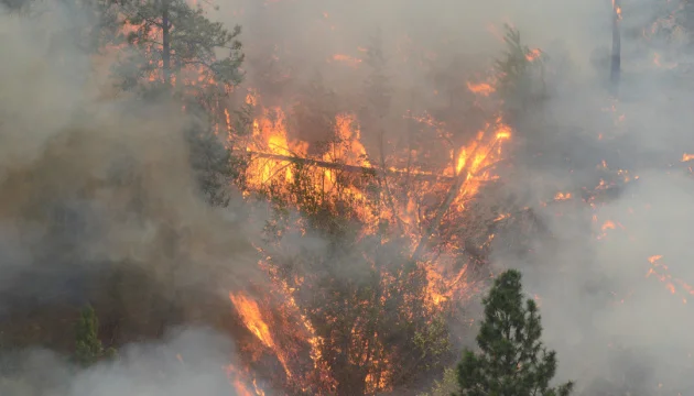 Nearly 470 people evacuated due to wildfire in Spain