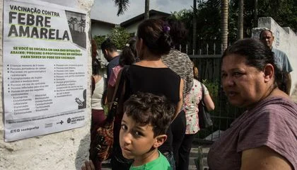 Brazil's First Urban Yellow Fever Outbreak in Nearly a Century May Have Been Fueled by a Surprising Culprit