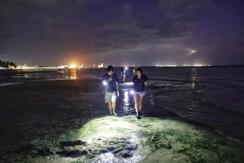 Meet the young protectors of Singapore’s shores