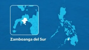 Construction worker killed in Zamboanga Sur tree-cutting mishap