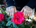Stars, trees, mountains: Santa Rosa outdoor youth program is using nature to combat gun violence