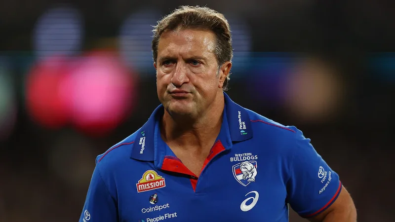 Dogs coach says he would have signed concussion waiver to keep playing