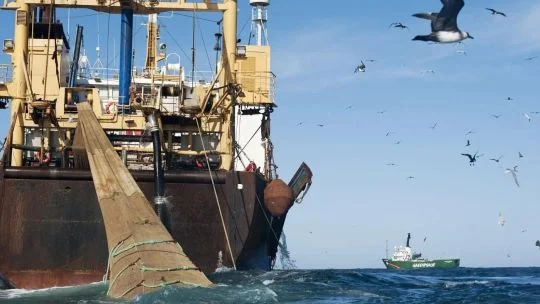 Mile 201: The invisible line where fishing becomes environmental poaching