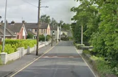 Cyclist in her 80s dies from injuries sustained after being hit by truck in Co Kildare
