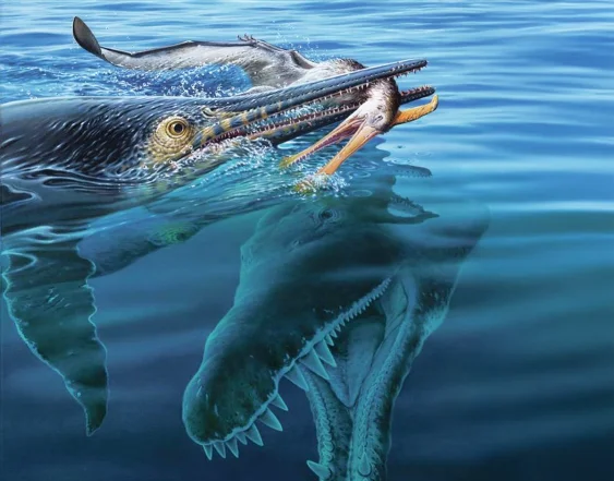 This Ichthyosaur Chomped a Pterosaur—Then Got Chomped by Something Bigger