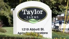 Taylor Farms recalls jalapeno products after salmonella outbreak