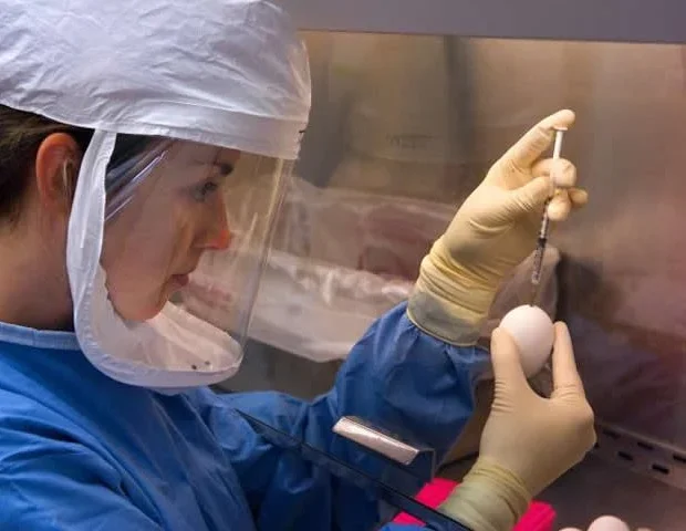 Rare cruise ship virus outbreak highlights public messaging lessons and disease preparedness