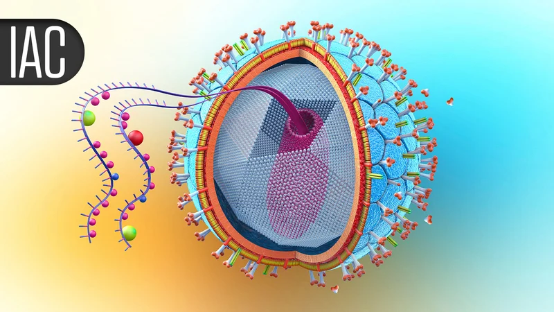 Long-Acting Lenacapavir Still Delivered Effective HIV PrEP After a Year