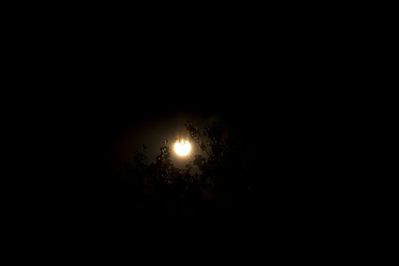 Drivers told they may need to turn headlights on during eclipse