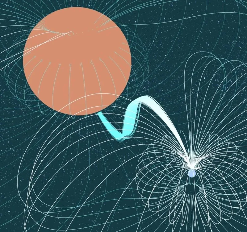 Strange Signals Called Long-period Radio Transits Come From Cataclysmic Variables