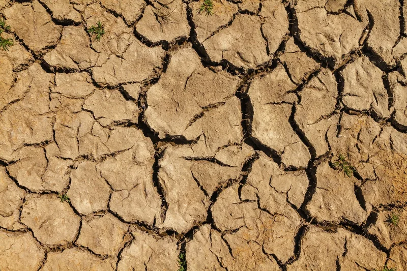 Honduras Puts 75 Municipalities on Red Alert Over Drought
