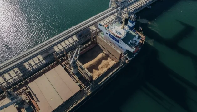 Ukraine sanctions 13 vessels, 28 companies over illegal grain exports