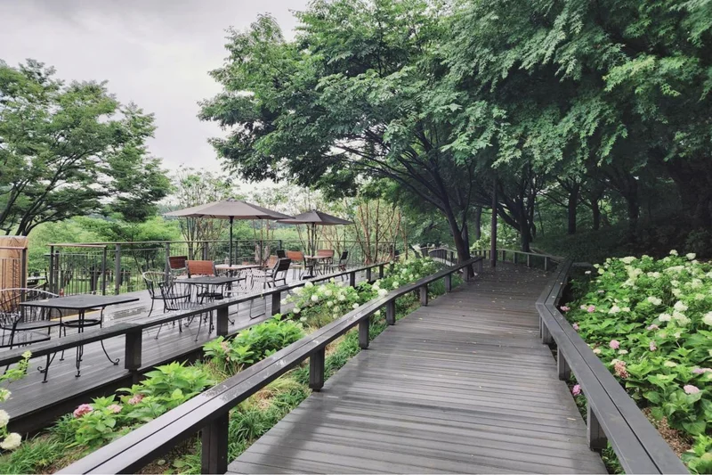 Seoul's Dream Forest unveils canopy walkway, upgraded outdoor cafe
