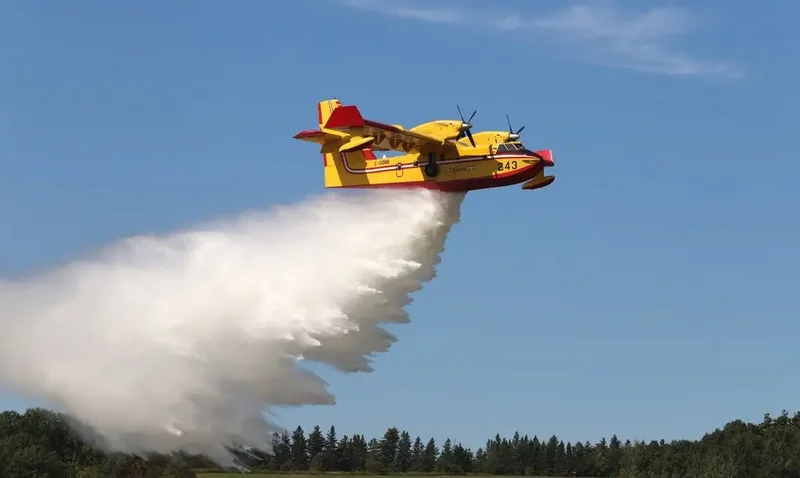 Lightning sparked dozens of wildfires in Quebec in July