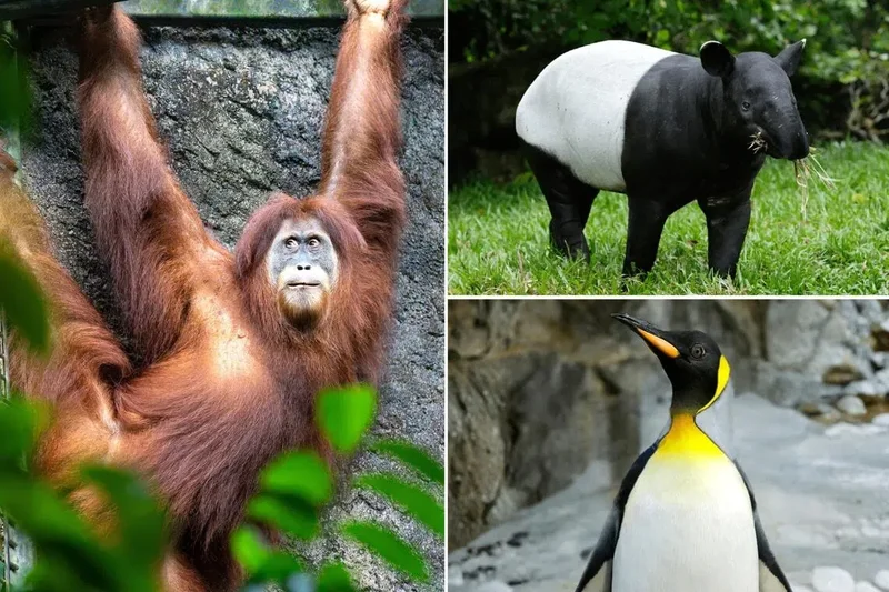 National Day deals at Mandai Wildlife Reserve; Aug 9 fun at National Museum of S'pore; Mandarin play The Forest Heroes