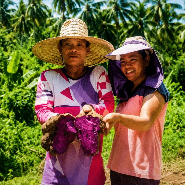 Ormoc launches ube demonstration farm