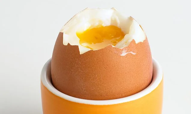 British egg farmers' fury over salmonella advice as they say government is 'sowing seeds of doubt'