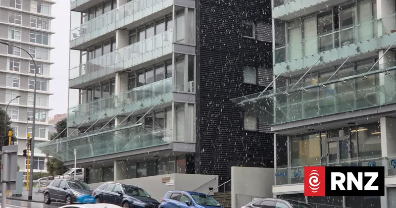 Live weather: Wellington could be in for more snow tonight; Dunedin drivers urged to take care