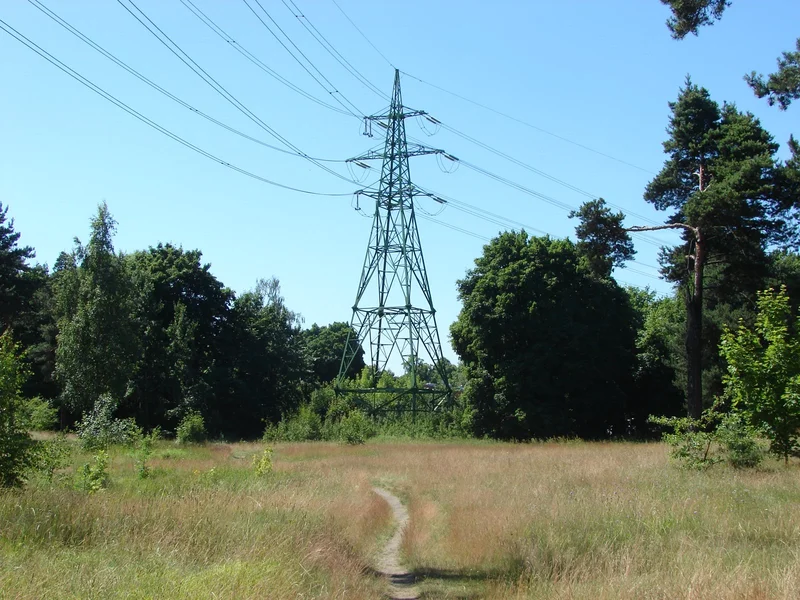 A Chilean Court Hands Interchile a Win Over the Environmental Regulator