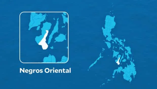₱15M in illicit cigarettes confiscated in Dumaguete City