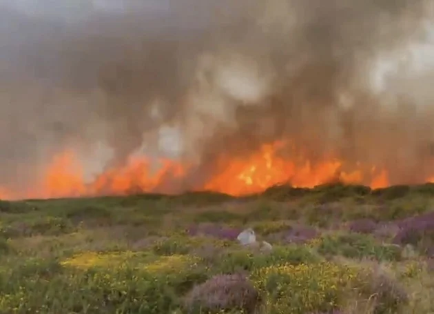 Wildfire at Glencullen in Dublin Mountains has reduced 'considerably'