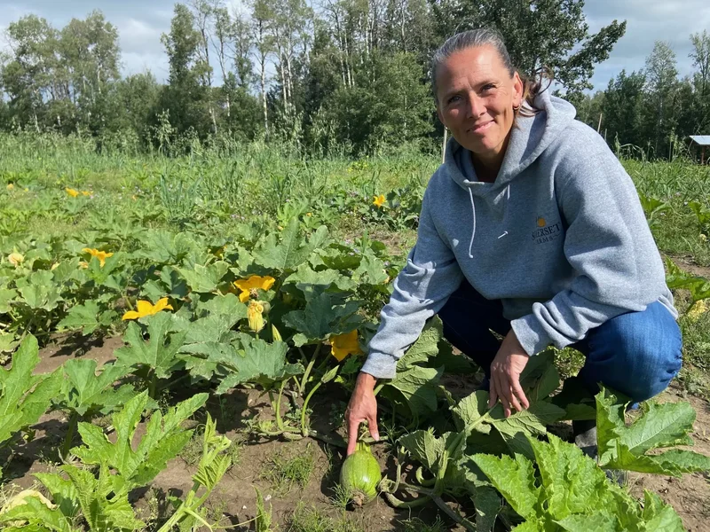 Pumpkin problems: Alberta’s wet summer affecting annual crop