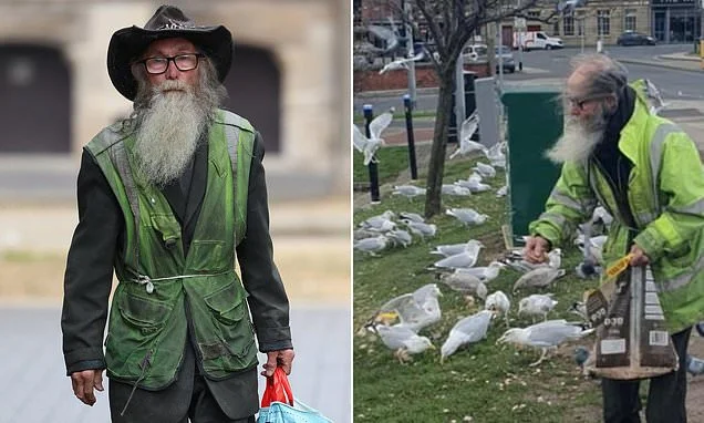 Grandfather faces prison after council prosecutes him for refusing to stop giving breadcrumbs to hungry pigeons