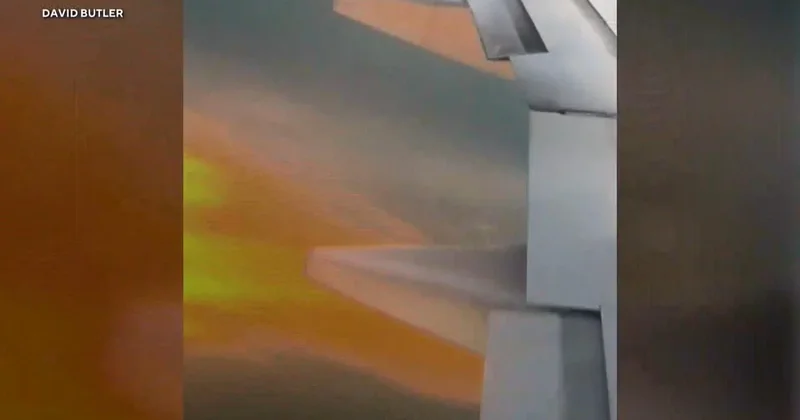 Flames shoot out of plane's engine after apparent bird strike